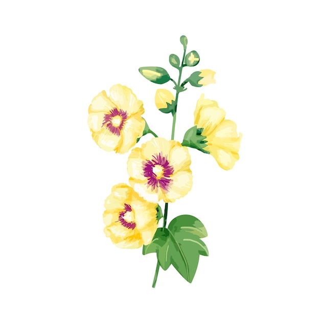 Hand gezeichnete gelbe Hollyhocksblumenillustration
