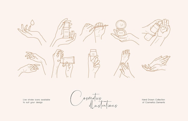Hand gezeichnete linie kunstvektorlogo-designschablone boho-artillustration von eleganten zeichen und abzeichen