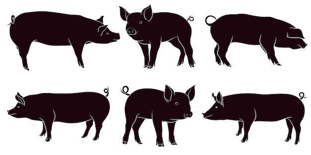 Hand gezeichnete silhouette des schweins