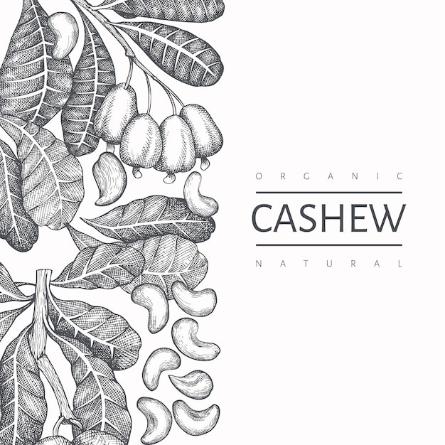 Hand gezeichnete skizze cashew design vorlage.