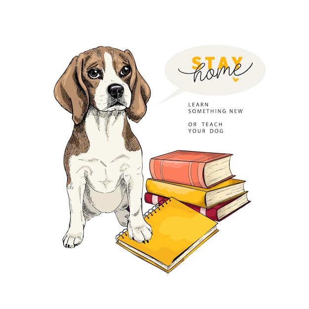 Vektor hand gezeichneter beaglel-hund sitzt mit einem buch und einem notizbuch.