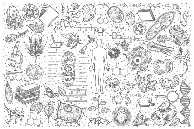 Vektor hand gezeichneter biologie-gekritzelsatz