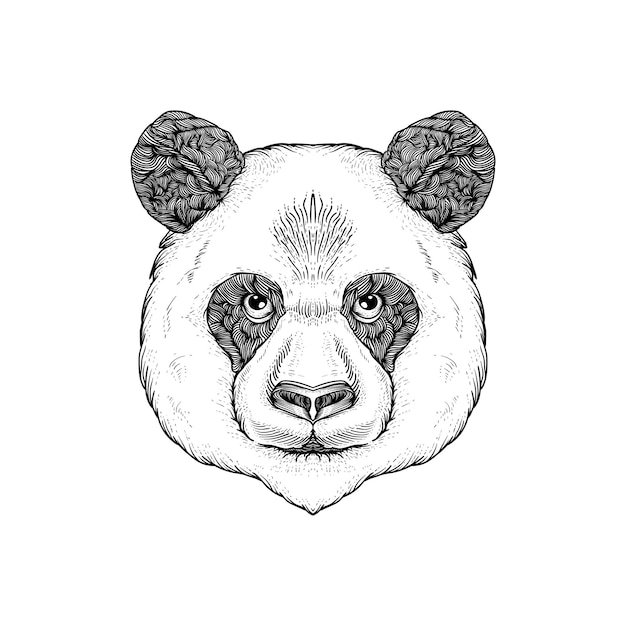 Hand gezeichneter Kopf Panda Strichzeichnungen schwarz und weiß