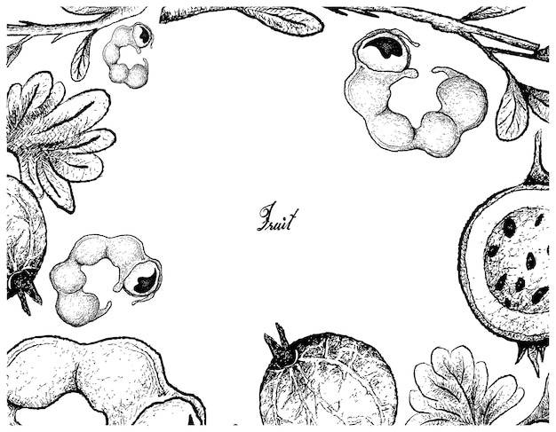 Hand gezeichneter rahmen von manila-tamarinden-und stachelbeerfrucht