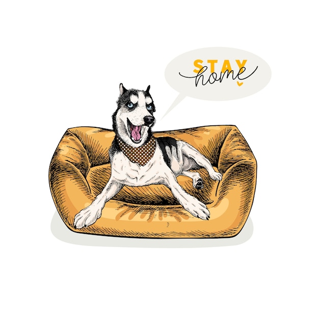 Vektor hand gezeichneter siberian husky hund liegt in modernen haustiermöbeln.