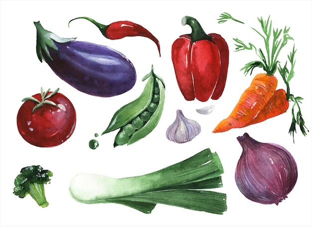 Hand gezeichnetes Aquarellillustrationsset des frischen Gemüses. Grüne Sammlung auf weißem Hintergrund. Salat Zutaten, Gemüse, Bio-Lebensmittel, gesunde Ernährung Artikel Aquarell Gemälde Packung