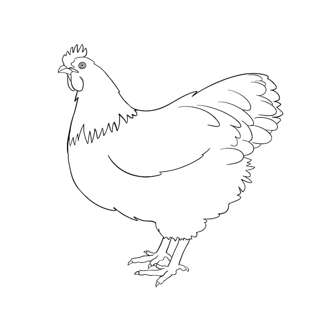 Hand gezeichnetes Huhn