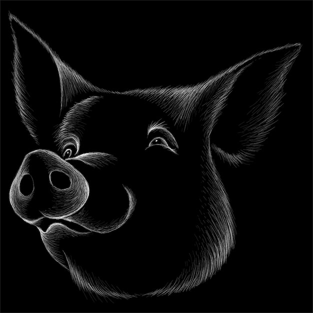 Hand zeichnen Schweinekopf Illustration