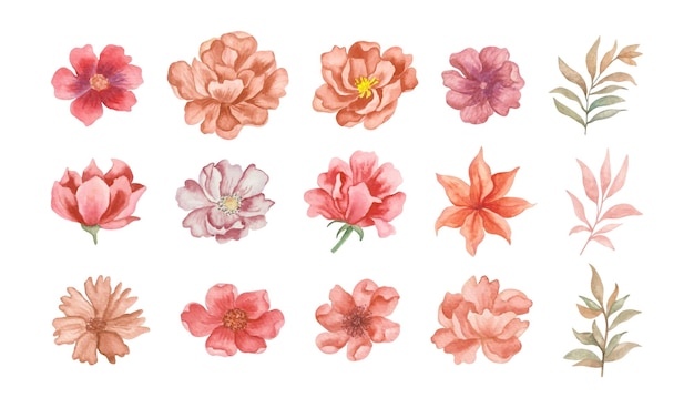 Handbemalte aquarell-frühlingsblumen und blätter-set-kollektion für blumenstrauß-design