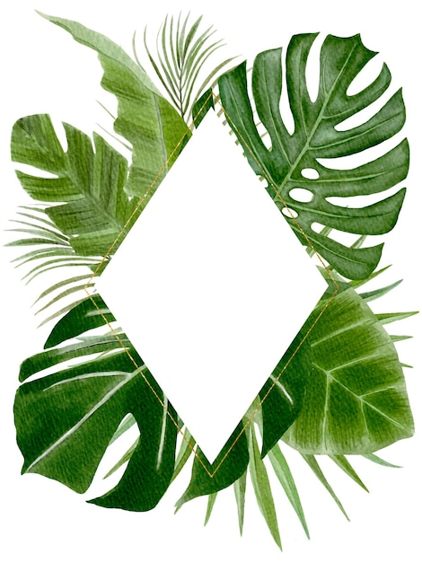 Handbemalter Aquarell rautenförmiger tropischer Rahmen