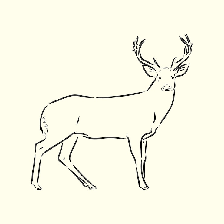 Vektor handgemalt. waldhirsch, vektorskizzenillustration