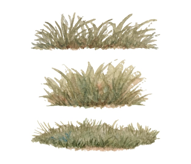 Handgemalte Aquarell-Grassetsammlung