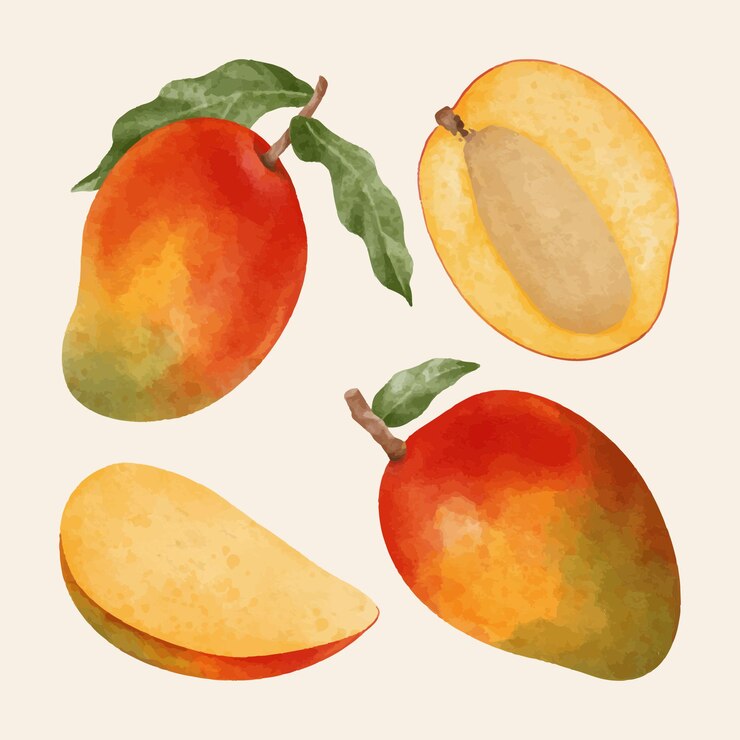 Handgemalte Aquarell-Mango-Sammlung