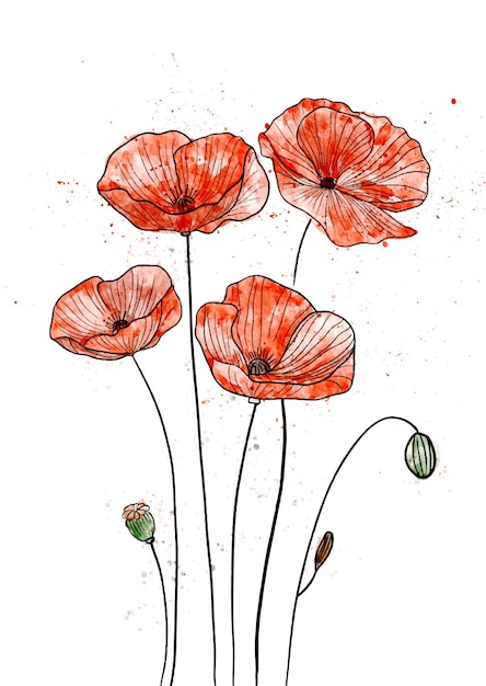 Handgemalte aquarellmalerei von mohn