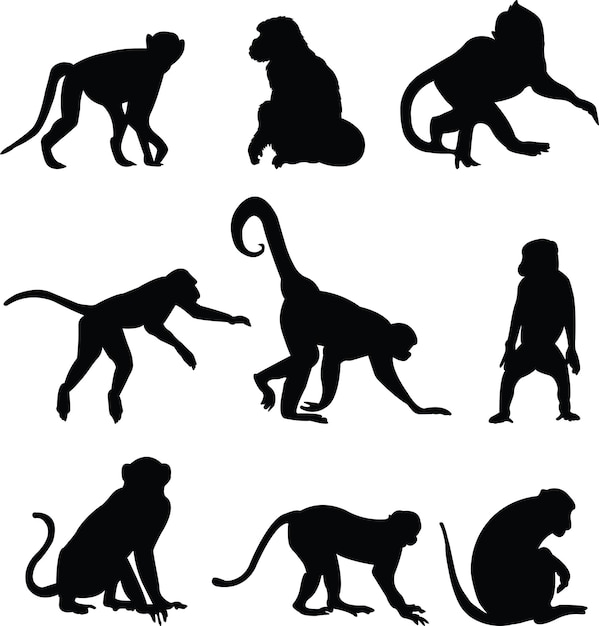 Handgezeichnete Affen-Silhouette