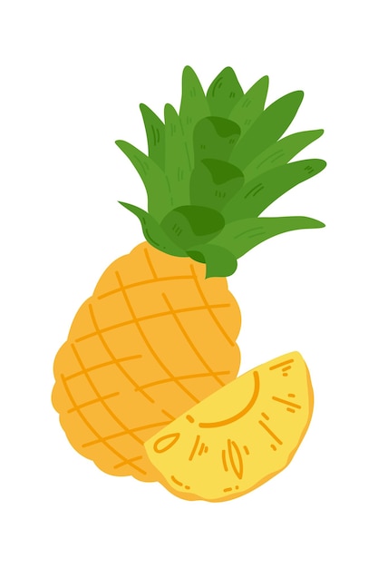 Handgezeichnete ananas-illustration isoliert auf weißem hintergrund. illustration frischer sommerfrüchte