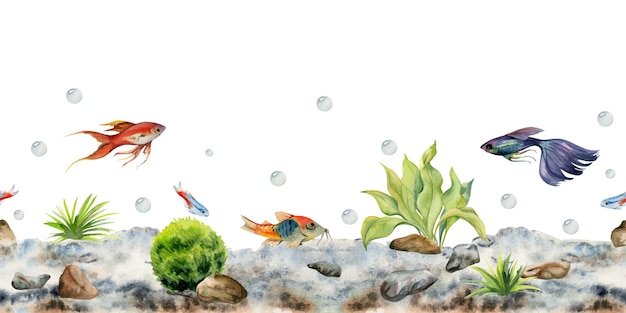 Vektor handgezeichnete aquarell-aquarienfische, algen und meerestiere. exotische meeresunterwasser-illustration. nahtloser rand isoliert auf weißem hintergrund. design für geschäfte, broschüren, druckkarten, wandkunsttextilien