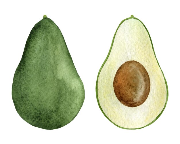 Handgezeichnete aquarell-avocado isoliert auf weißem hintergrund abbildung gesunder lebensmittel