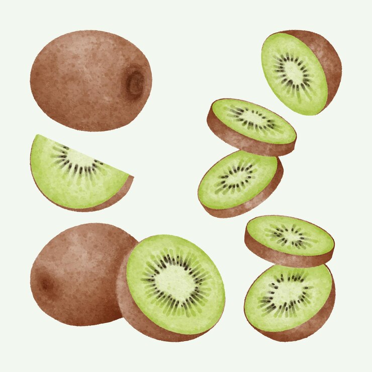 Handgezeichnete Aquarell-Kiwi-Kollektion