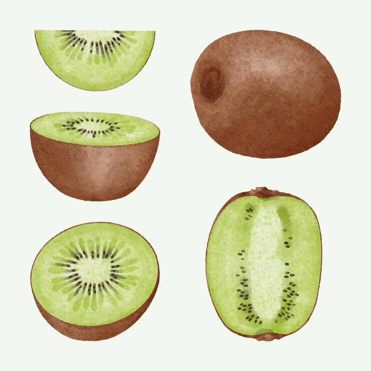 Handgezeichnete Aquarell-Kiwi-Kollektion