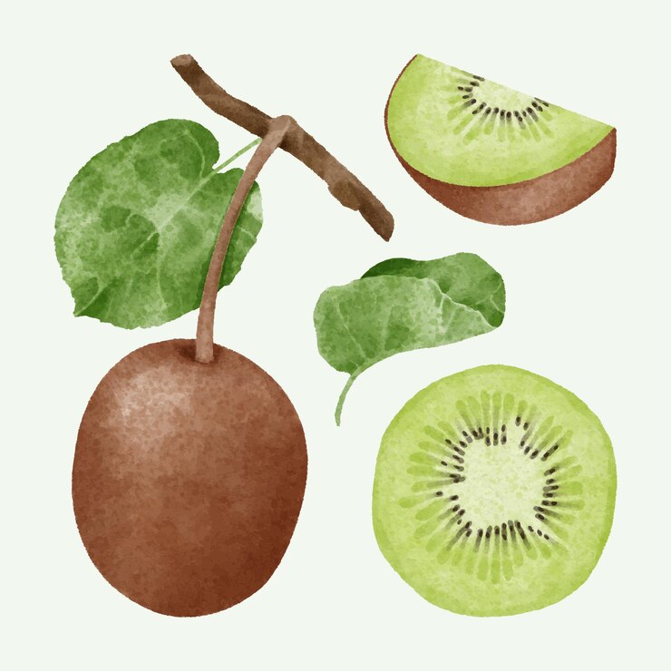 Handgezeichnete Aquarell-Kiwi-Kollektion