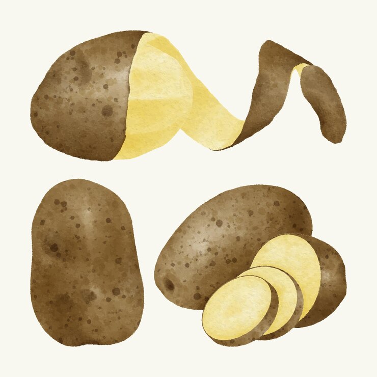 Handgezeichnete Aquarellkartoffelsammlung