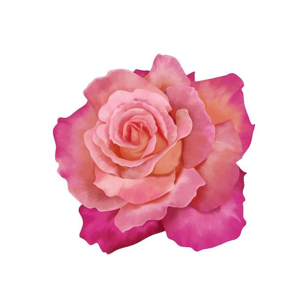 Handgezeichnete Aquarellrose