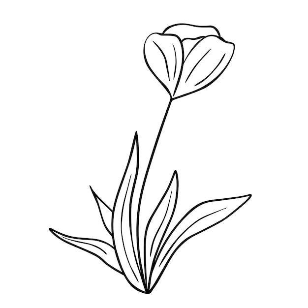 Handgezeichnete Blume isoliert auf weißem Hintergrund Vektor florales Sommerelement Dekorative Doodle-Skizzenillustration