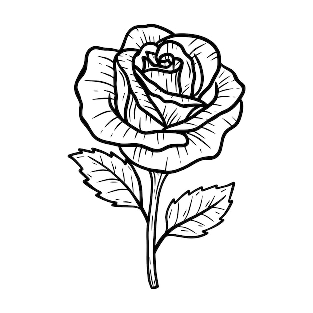 Handgezeichnete Blume Rose Blätter Naturals isoliert Aufkleber schwarz botanische Strichzeichnungen Illustration