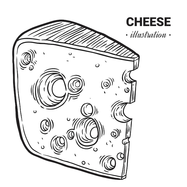 Handgezeichnete cheddar-käse-illustration