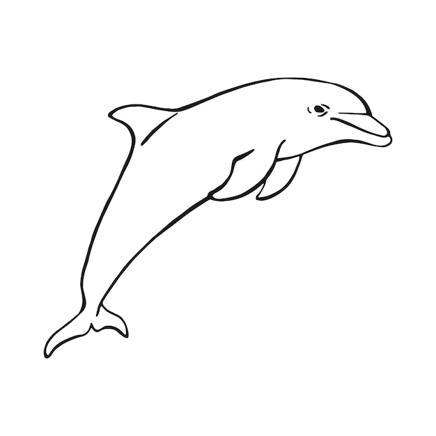 Handgezeichnete delphin-vektorillustration im skizzenstil springender delphin isoliert auf weißem hintergrund