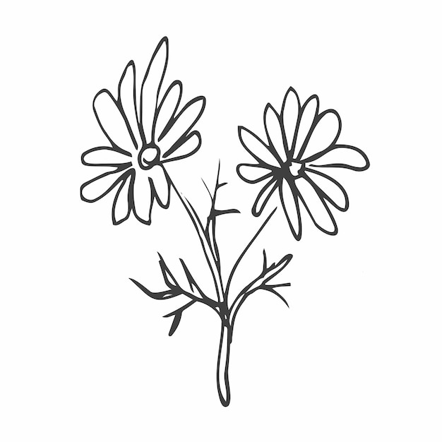 Handgezeichnete doodle-blumen. einfache minimalistische blumenskizze