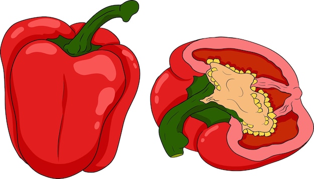 Handgezeichnete farbige illustration verschiedener pfefferarten bell sweet peppers paprika