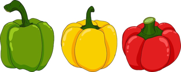 Vektor handgezeichnete farbige illustration verschiedener pfefferarten bell sweet peppers paprika