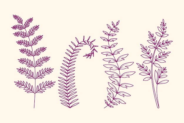 Handgezeichnete Farn-Zeichnungsillustration