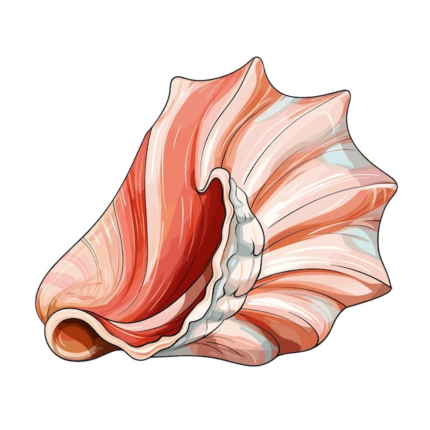 Handgezeichnete flachfarben-konchillustration