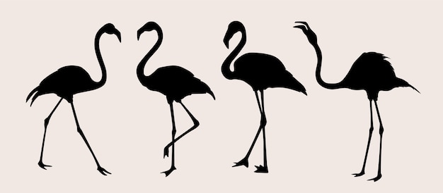 Vektor handgezeichnete flamingo-silhouette