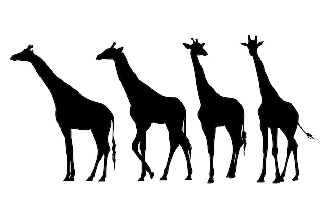 Vektor handgezeichnete giraffen-silhouetten-kollektion