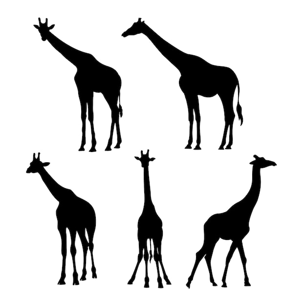 Vektor handgezeichnete giraffensilhouette