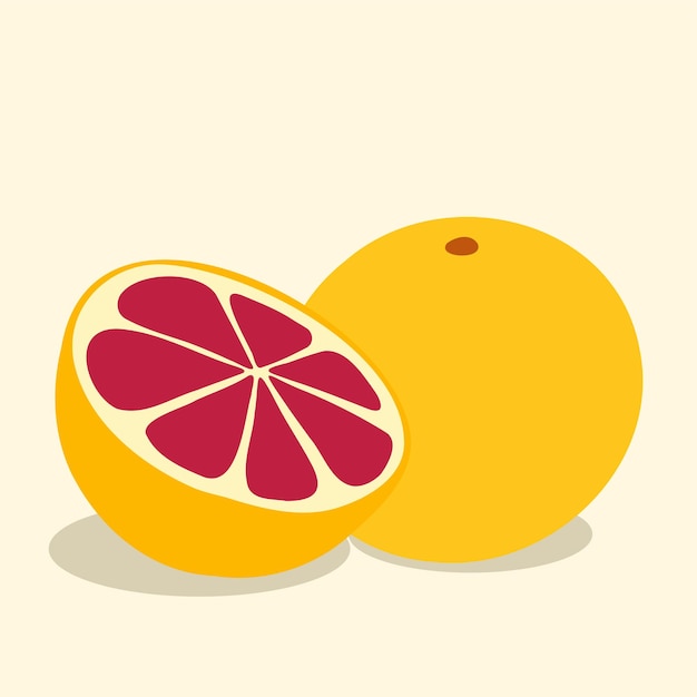 Handgezeichnete Grapefruit frisches Obst tropische Früchte gesunde Ernährung Obst Vektor Design Illustrationen