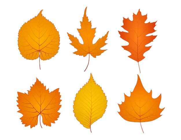 Handgezeichnete Herbstblatt-Sammlung
