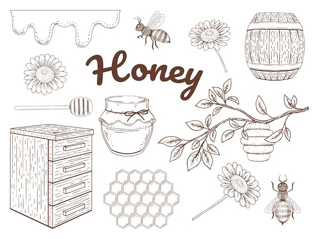 Handgezeichnete honigsammlung. honig, bienen, blumen. set monochromer objekte. vektor-illustration. getrennt auf weiß.