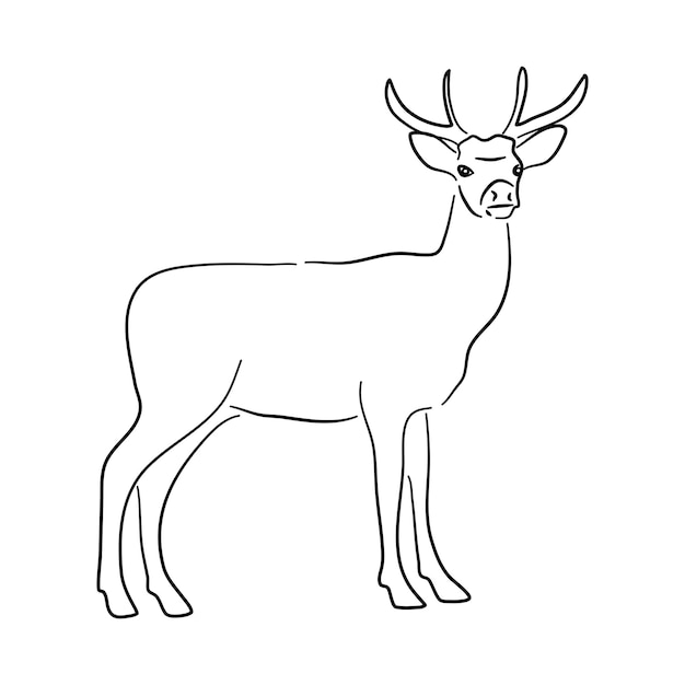 Handgezeichnete Illustration eines Hirschvektors isoliert auf weißem Hintergrund