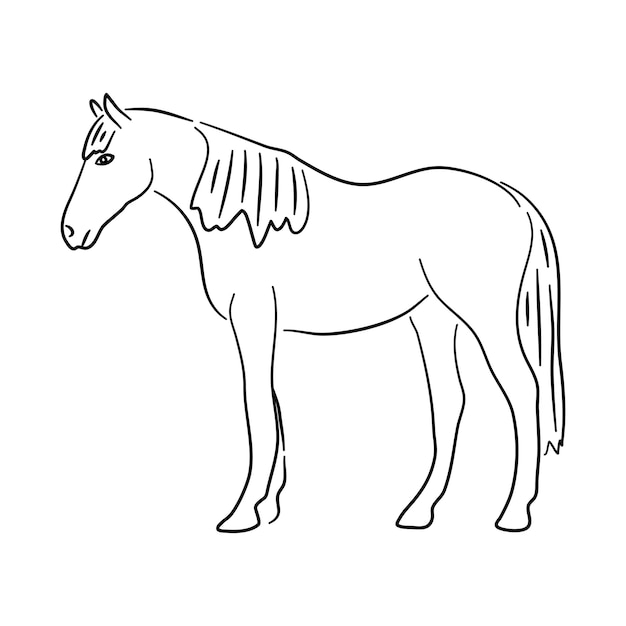 Handgezeichnete Illustration eines Pferdevektors isoliert auf weißem Hintergrund