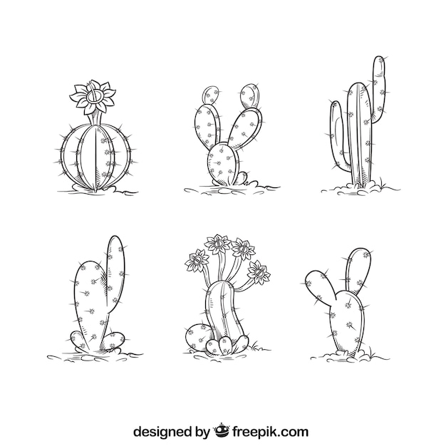 Handgezeichnete kaktuskollektion