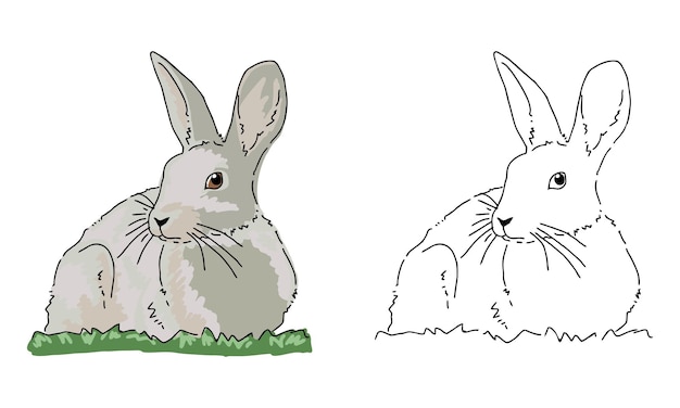 Handgezeichnete kaninchen-malvorlagen für kinder