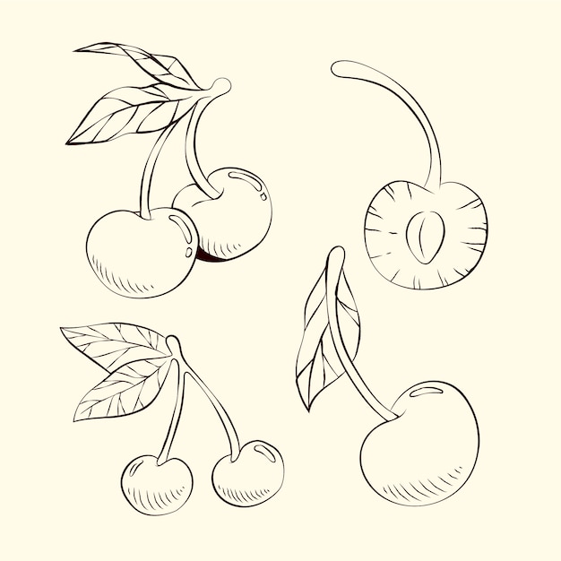 Handgezeichnete Kirschumrissillustration
