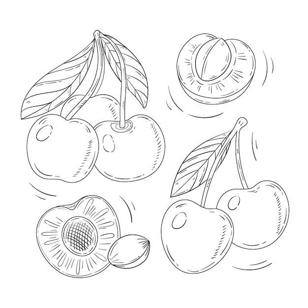 Handgezeichnete Kirschumrissillustration