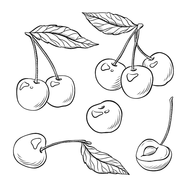 Handgezeichnete Kirschumrissillustration