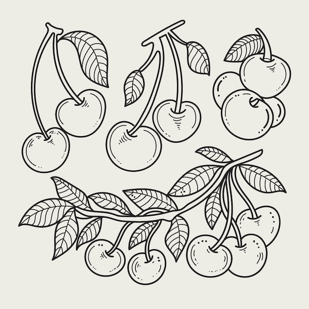 Handgezeichnete Kirschumrissillustration